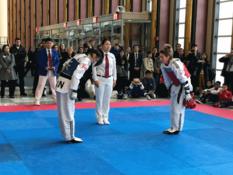 Journée internationale du sport ONU - Jade Jones et Skylar Park se saluent avant leur combat d’exhibition dans le Hall des visiteurs des Nations Unies. ©DR