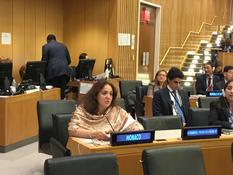 ONU 2017 - S.E. Mme Isabelle Picco, Ambassadeur,Représentant permanent de la Principauté de Monaco auprès des Nations Unies ©DR