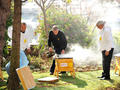 UNAF 2BD - On 29 March, six beehives were unveiled in the green space on the roof terrace of the Museum of Philately and Coinage. Monaco symbolically chose the “Week without Pesticides” to formalise, in the presence of H.S.H. the Sovereign Prince, the programme for “The bee, sentinel of the environment®”, which was initiated by the French National Apiculture Union (UNAF).