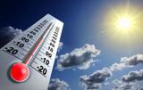 canicule canicule