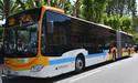 Bus 100 Bus 100