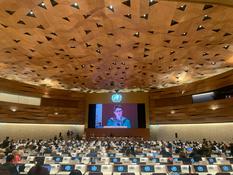 77 Assemblée Mondiale de la Santé 24 - ©DR