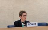 Adoption du rapport définitif concernant le 4ème Examen Périodique Universel de Monaco - Adoption du rapport définitif concernant le 4ème Examen Périodique Universel de Monaco ©DR Adoption du rapport définitif concernant le 4ème Examen Périodique Universel de Monaco - Adoption du rapport définitif concernant le 4ème Examen Périodique Universel de Monaco ©DR