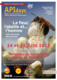 Affiche APIDAYS 22 - API Days 2022 Affiche APIDAYS 22 - API Days 2022