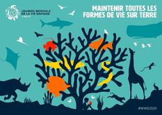 affiche journée de la vie sauvage 2020 - ©DR