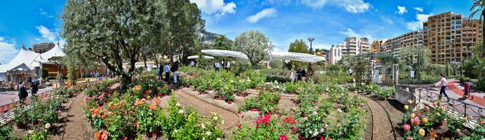 Concours de roses Roseraie - The 4th Monaco International Rose Competition at the Princess Grace Rose Garden © Michaël Alesi/Government Communication Department