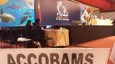 COP12_CMS - The ACCOBAMS Permanent Secretariat at the 12th Conference of the Parties to the Convention on the Conservation of Migratory Species of Wild Animals © ACCOBAMS