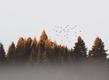 Deforestation - ©DR Deforestation - ©DR