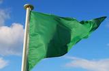 drapeau vert - ©DR