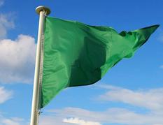 drapeau vert - ©DR