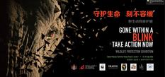 Expo Beijing