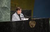 I Rosabruetto ONU I Rosabruetto ONU