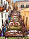 Infiorata Noto 1 2017 BD - Décoration de la rue Nicolaci avec les motifs évoquant la Principauté de Monaco de Richard Seren ©DR Infiorata Noto 1 2017 BD - Décoration de la rue Nicolaci avec les motifs évoquant la Principauté de Monaco de Richard Seren ©DR