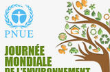 journee-mondiale-de-l-environnement - Copyright - DR journee-mondiale-de-l-environnement - Copyright - DR