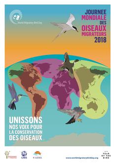 Journée mondiale oiseaux migrateurs