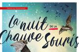 La nuit de la chauve souris - ©Direction de l’Environnement La nuit de la chauve souris - ©Direction de l’Environnement