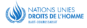 Logo Haut-Commissariat des Nations Unies aux droits de l’Homme - Logo Haut-Commissariat des Nations Unies aux droits de l’Homme