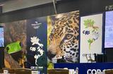 MC COP19 CITES - ©DR MC COP19 CITES - ©DR