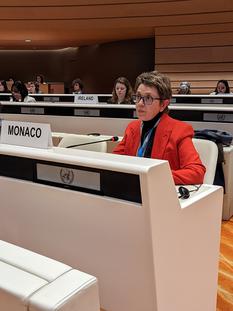 ONU – Comité pour l’élimination de la discrimination à l’égard des femmes (CEDAW) - ONU – Comité pour l’élimination de la discrimination à l’égard des femmes (CEDAW) ©DR