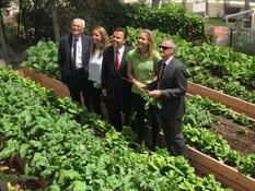 Potager CHPG - De gauche à droite : André Garino, Président du Conseil d'Administration du CHPG, Benoîte De Sevelinges, Directeur Adjoint du CHPG, Stéphane Valeri, Conseiller de Gouvernement - Ministre des Affaires Sociales et de la Santé, Jessica Sbaraglia, fondatrice de "Terre de Monaco" et Patrick Bini, Directeur du CHPG © CHPG