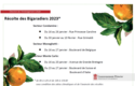 Récolte Agrumes 2023 - ©Direction de la Communication