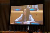 Sixième Commission de l’Assemblée générale en charge des questions juridiques © DR - Nawal Nourid prononçant l’intervention de la Principauté sous le point de l’ordre du jour consacré à l’état des Protocoles additionnels aux Conventions de Genève © DR Sixième Commission de l’Assemblée générale en charge des questions juridiques © DR - Nawal Nourid prononçant l’intervention de la Principauté sous le point de l’ordre du jour consacré à l’état des Protocoles additionnels aux Conventions de Genève © DR