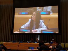 Sixième Commission de l’Assemblée générale en charge des questions juridiques © DR - Nawal Nourid prononçant l’intervention de la Principauté sous le point de l’ordre du jour consacré à l’état des Protocoles additionnels aux Conventions de Genève © DR