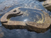 Tide Pool - ©Direction de l’Environnement / L. Aquilina Tide Pool - ©Direction de l’Environnement / L. Aquilina