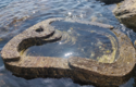 Tide Pool - ©Direction de l’Environnement / L. Aquilina Tide Pool - ©Direction de l’Environnement / L. Aquilina