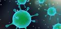 virus - Copyright - DR virus - Copyright - DR