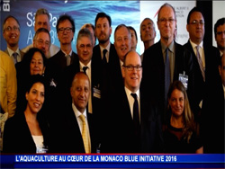 7e_MC Blue Initiative 7e_MC Blue Initiative