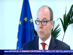 Abeilles UE SAS Abeilles UE SAS